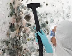 Professional Mold Removal Services in Palo, IA